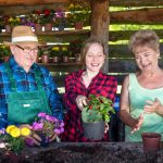 Gardening As An Incurable Disease