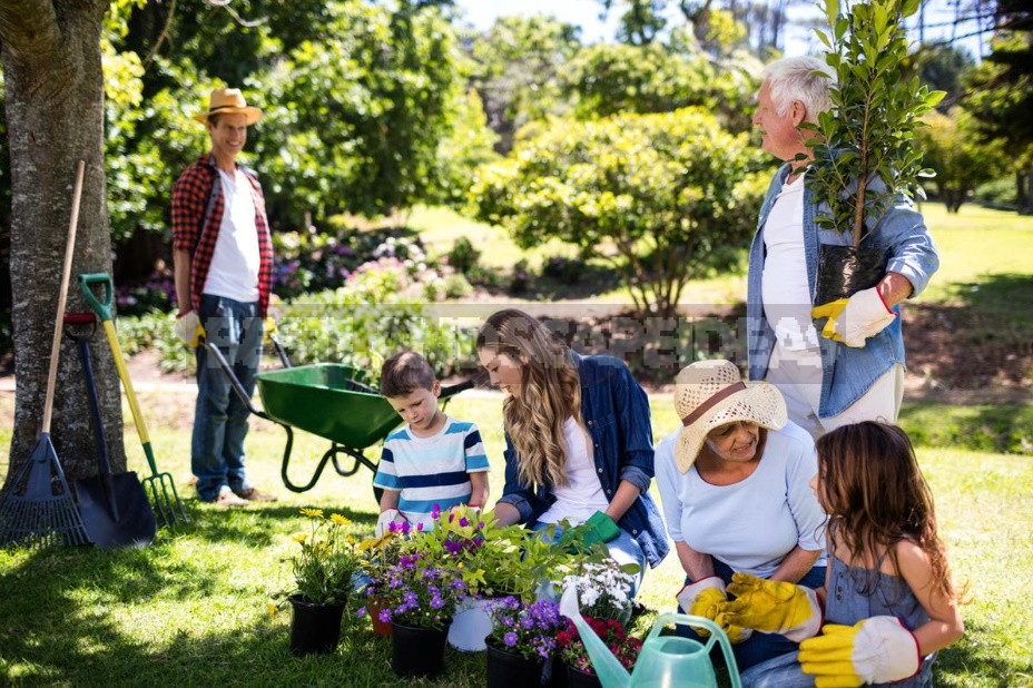 Gardening As An Incurable Disease