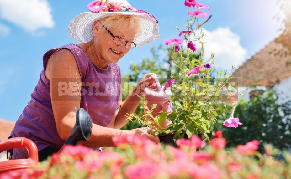 Gardening As An Incurable Disease