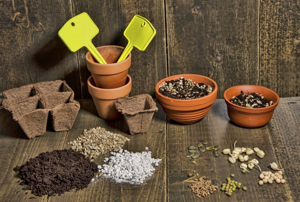 Home Farming: Selection And Preparation Of Soil For Sowing And Planting