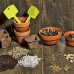 Home Farming: Selection And Preparation Of Soil For Sowing And Planting