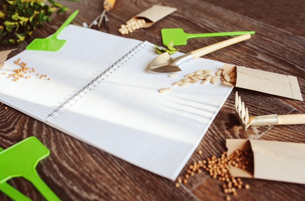 Seed Treatment Before Sowing: Biological Products And Chemicals