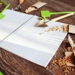 Seed Treatment Before Sowing: Biological Products And Chemicals