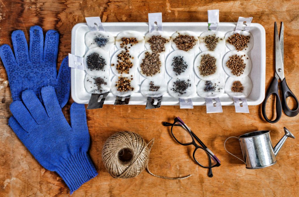 Seed Treatment: How And Why?