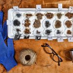 Seed Treatment: How And Why?