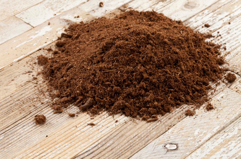 What Is What: a Brief Overview Of Substrates And Additives For Garden Soil