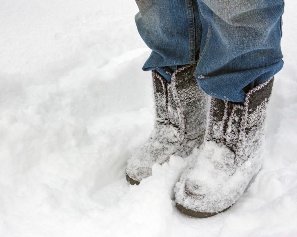 Why Do We Need To Trample Down The Snow Around The Trees