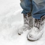 Why Do We Need To Trample Down The Snow Around The Trees