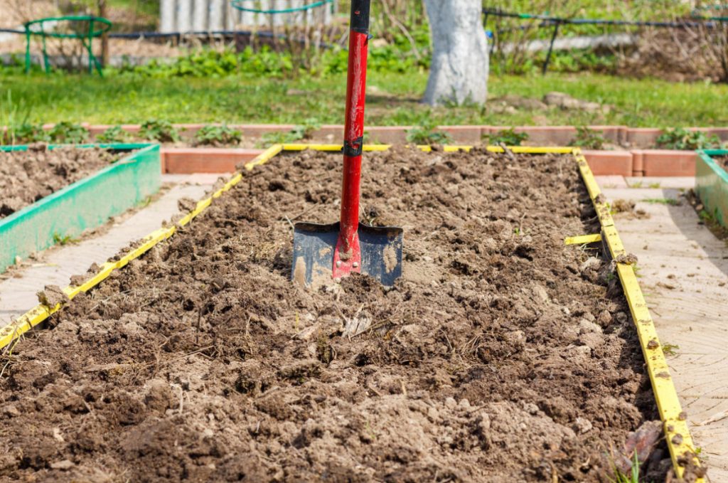 Bad Land Is Not a Hindrance. How To Get a High Yield On Different Types Of Soil