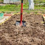Bad Land Is Not a Hindrance. How To Get a High Yield On Different Types Of Soil