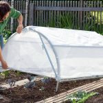 Early Start: Choosing a Material For a Greenhouse
