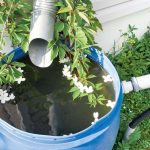 How To Collect Rainwater In The Country