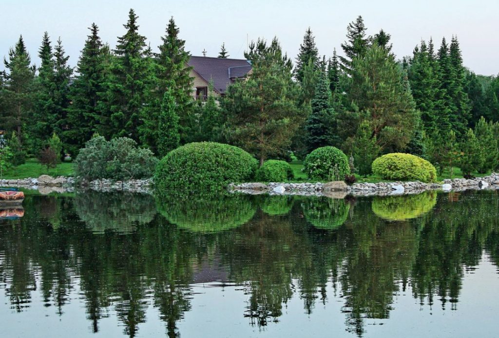 How To Properly Cut And Trim Plants: Tips For Beginners