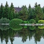 How To Properly Cut And Trim Plants: Tips For Beginners