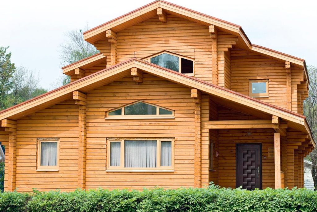 How To Save a Wooden House From a Woodworm Beetle: Expert Advice
