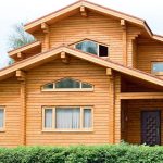How To Save a Wooden House From a Woodworm Beetle: Expert Advice