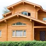 How To Save a Wooden House From a Woodworm Beetle: Expert Advice