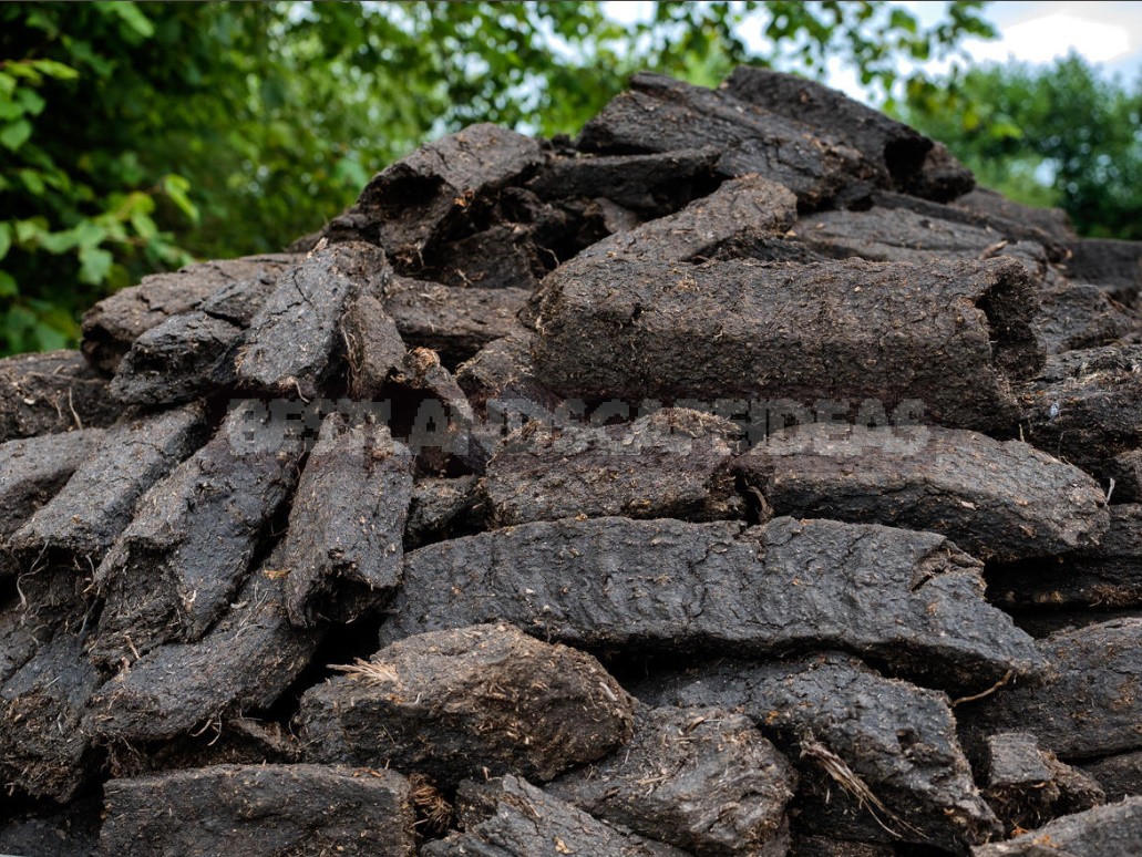 Nine Important Features Of Peat Use That a Gardener Should Know About