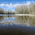 Signs Of April