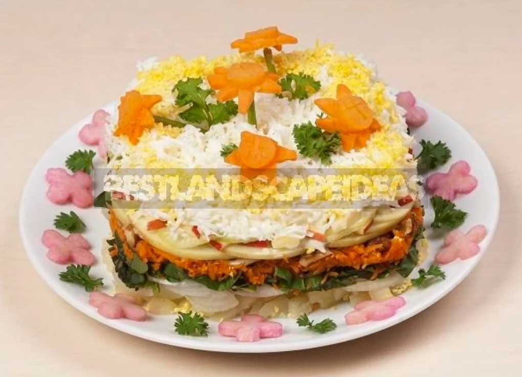 Ten New Salads For The Holiday. A Selection Of Delicious Recipes (Part 1)
