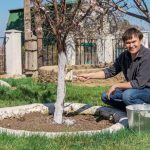 Tools For Whitewashing Garden Trees