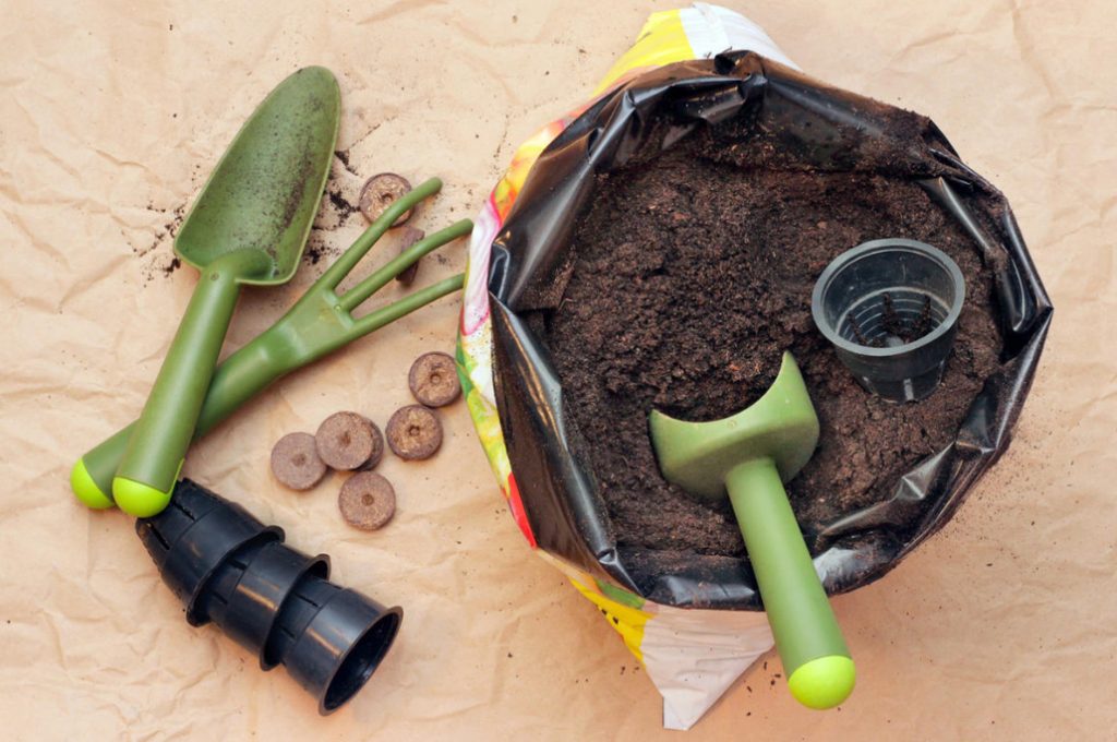 What Should Be The Ideal Soil For Seedlings