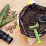 What Should Be The Ideal Soil For Seedlings