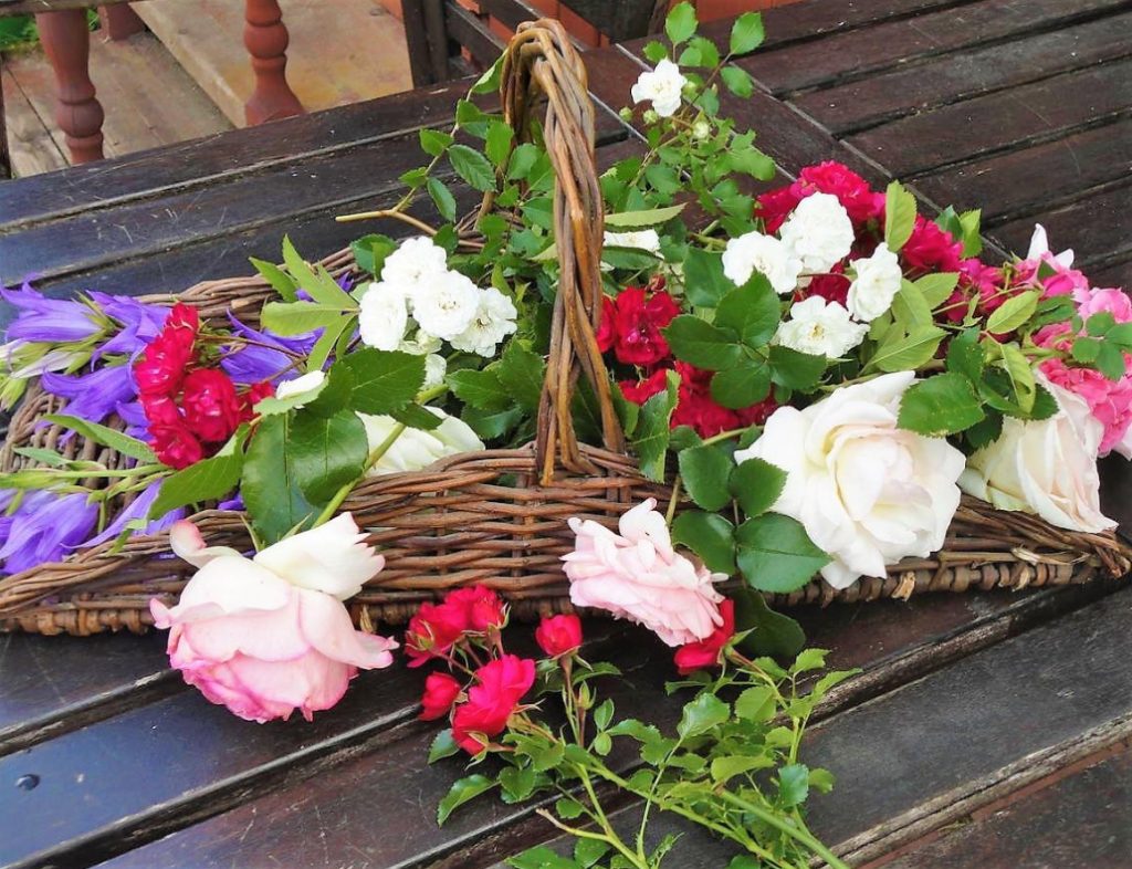 What You Need To Know About Roses Before You Go To The Store To Buy Them