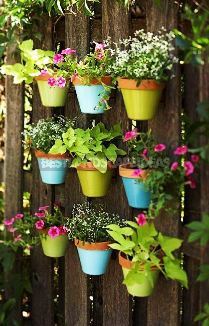 4 Best Ideas for Using Old Clay Pots