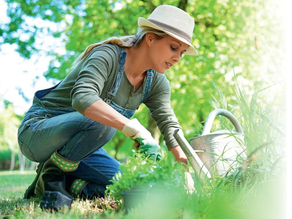 Fighters Of The Invisible Front: Biologics For The Garden