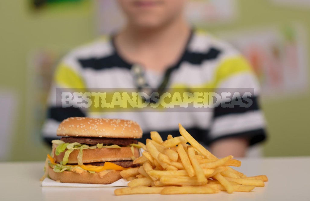 Fish Instead Of Hamburger: How To Feed a Student At The End Of The School Year