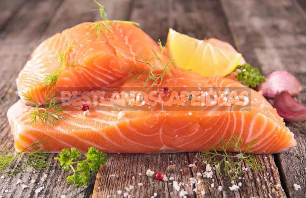 Fish Instead Of Hamburger: How To Feed a Student At The End Of The School Year