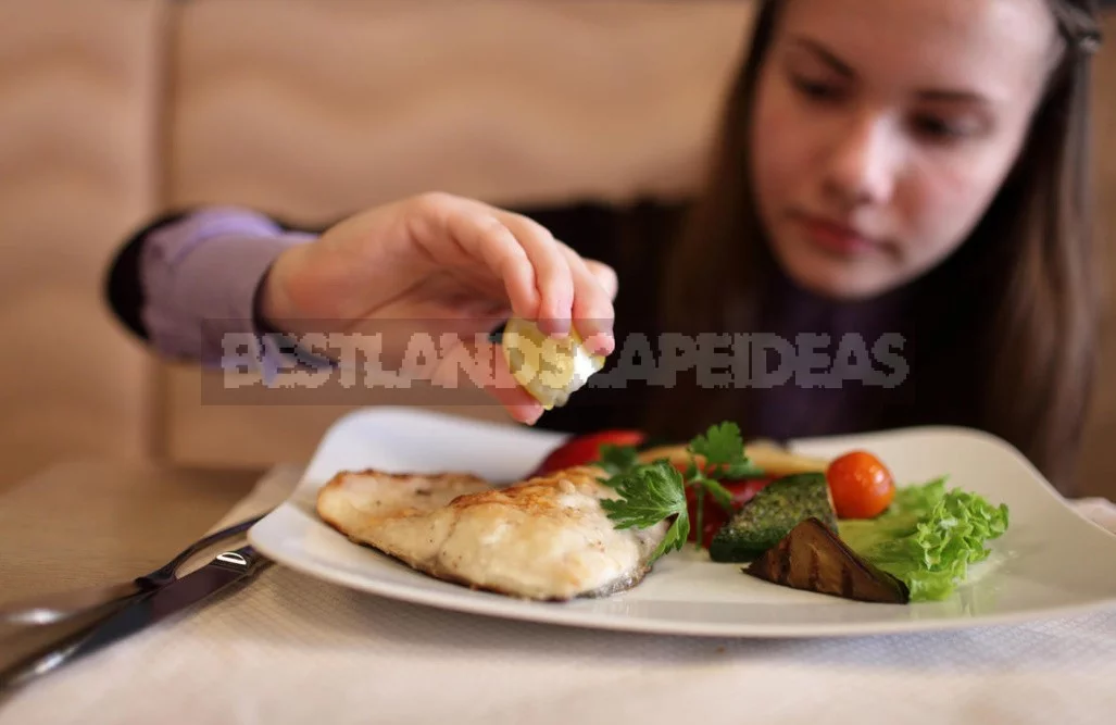 Fish Instead Of Hamburger: How To Feed a Student At The End Of The School Year