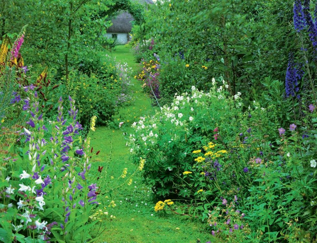 Garden Free From Disease: Rules Of Prevention