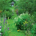 Garden Free From Disease: Rules Of Prevention