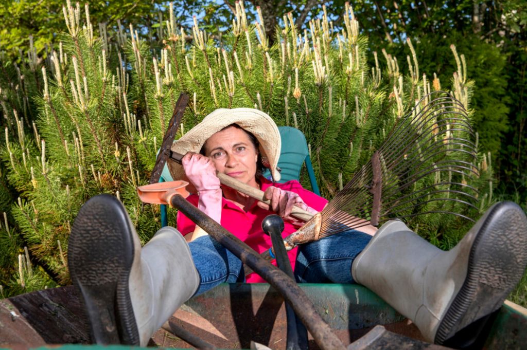 How Not To Go Wild In The Country?