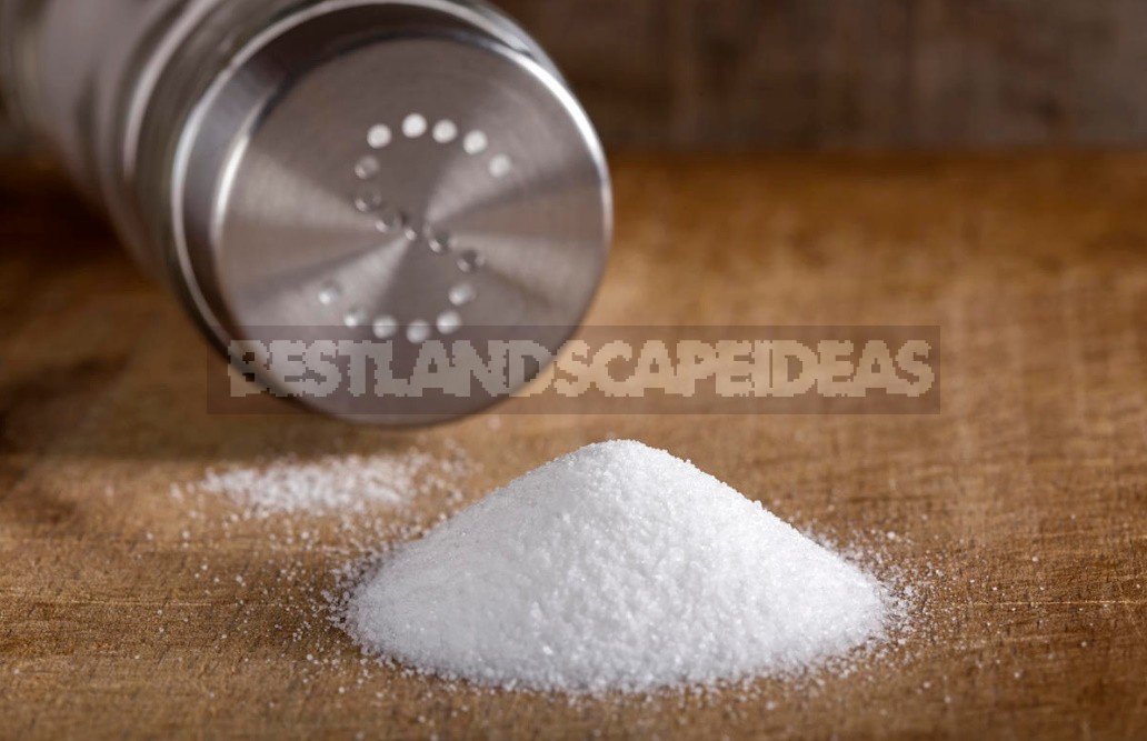Iodized Salt: Truth, Myths