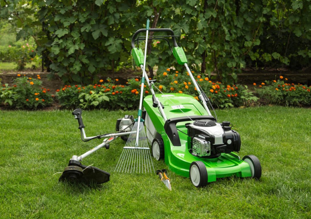 Lawn: Work Is Not For The Lazy (Part 1)