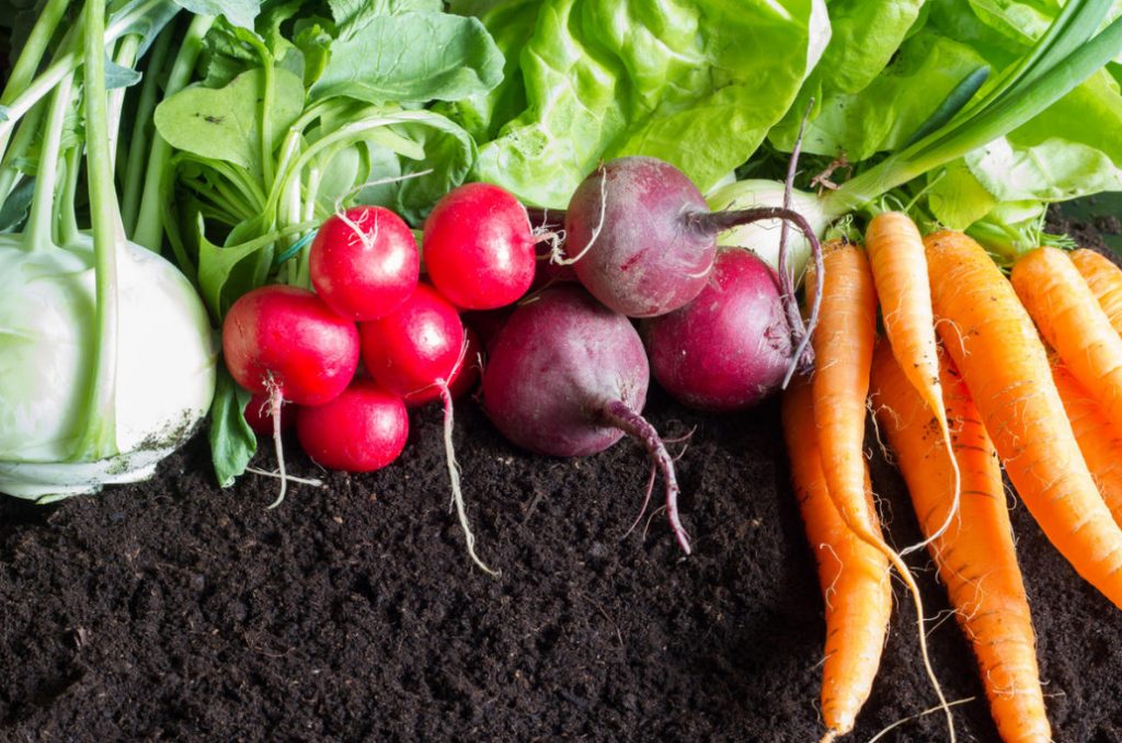 On The Way To Natural Farming. Is it Easy To Produce An Eco-Friendly Crop?