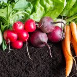 On The Way To Natural Farming. Is it Easy To Produce An Eco-Friendly Crop?