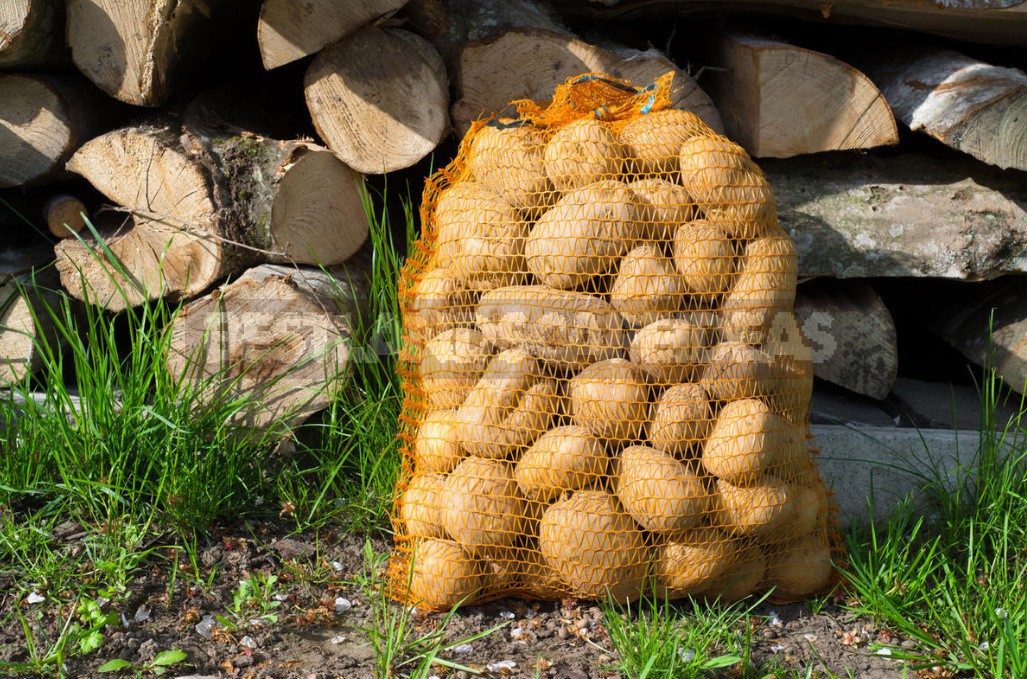 Seven Reasons To Grow Potatoes Yourself