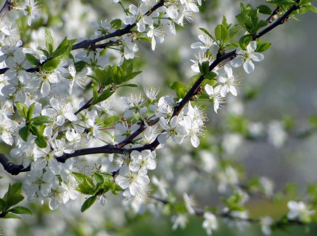 Signs Of May