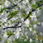 Signs Of May