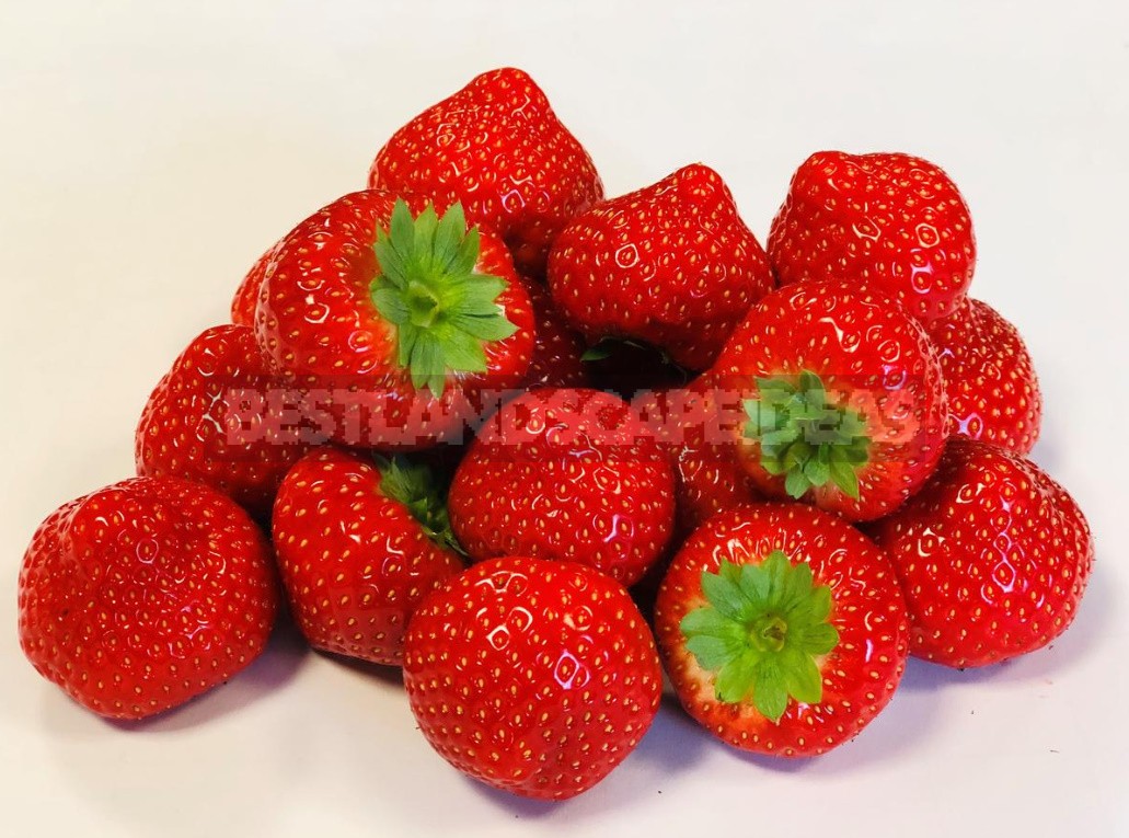 Strawberries: The Best Varieties Of The Season According To Professionals