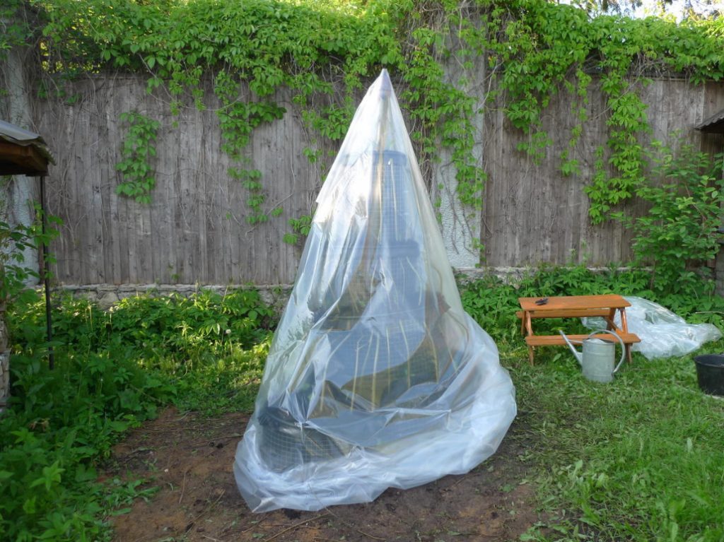 Pyramid Beds For Cucumbers: Experience Of Construction And Cultivation