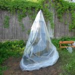 Pyramid Beds For Cucumbers: Experience Of Construction And Cultivation
