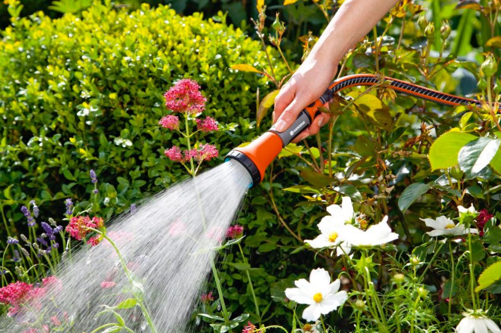 Tested On Yourself: Five Convenient Solutions For Irrigation