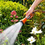Tested On Yourself: Five Convenient Solutions For Irrigation