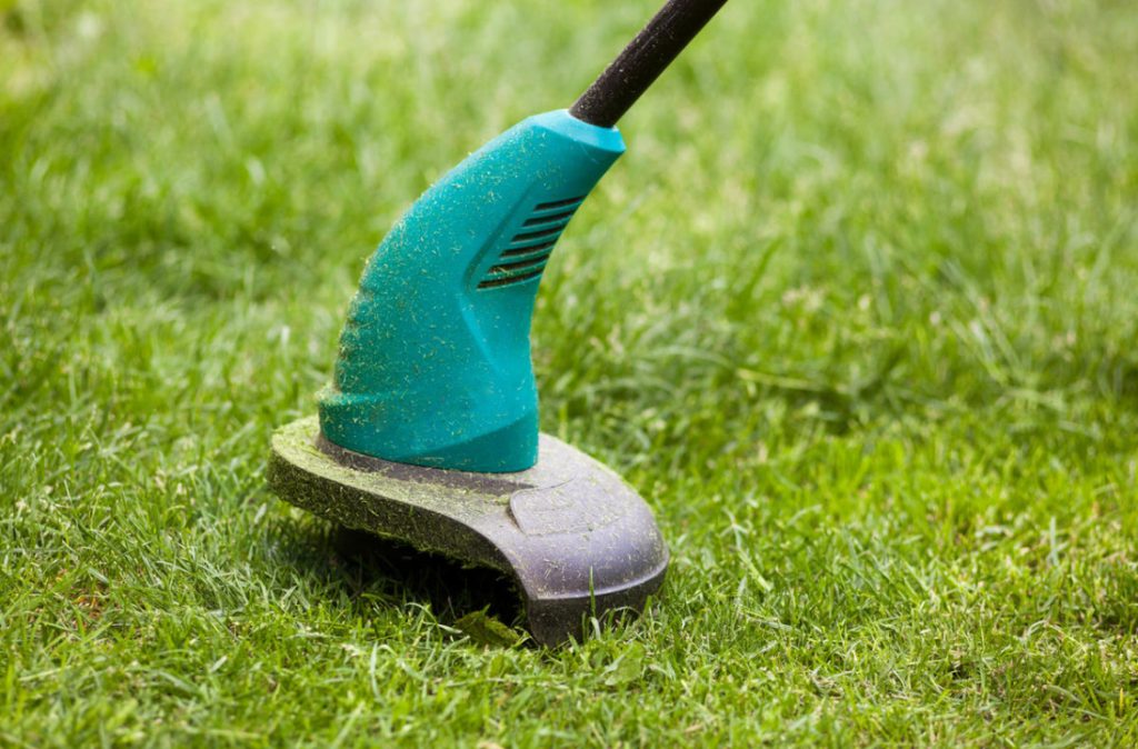 Battery Trimmer: How To Choose And Whether To Choose It At All (Part 1)