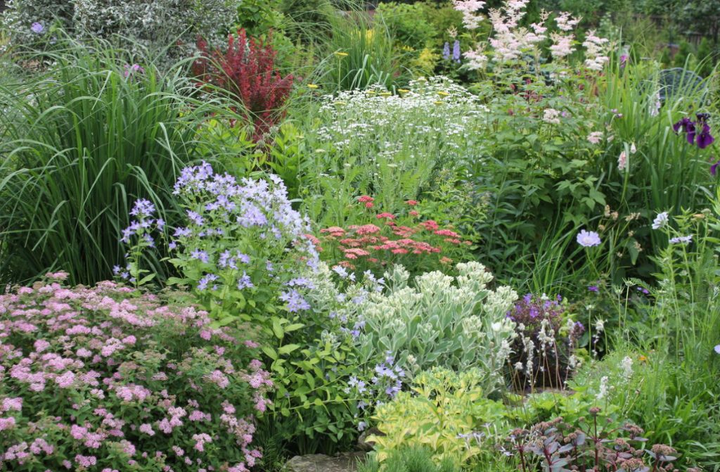 Man-Made Meadows: How To Create a Meadow Flower Garden From Perennials (Part 1)